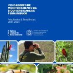 215551º relatório de resultados indicadores