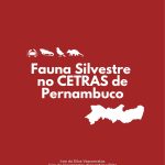21598Fauna Silvestre no CETRAS de Pernambuco